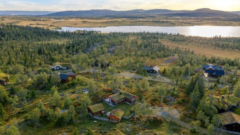 Bilde 1 av annonsen