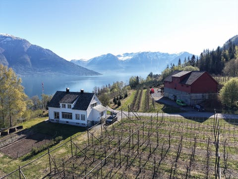 Bilde 1 av annonsen