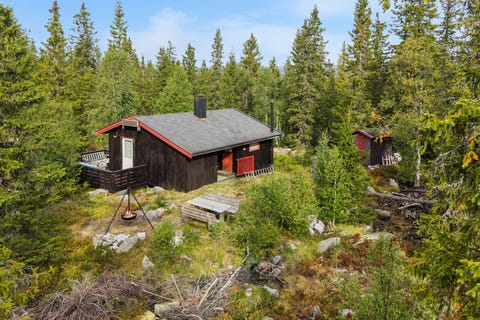 Bilde 1 av annonsen