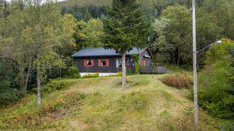 Bilde 1 av annonsen