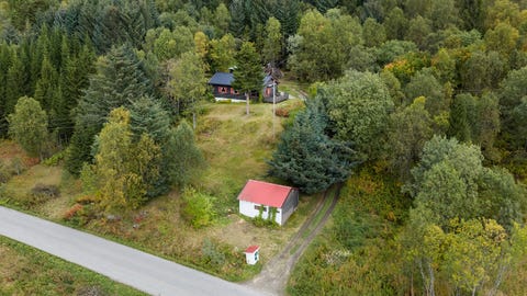 Bilde 2 av annonsen