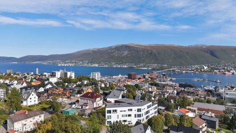 Bilde 1 av annonsen