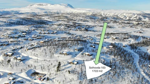 Bilde 1 av annonsen