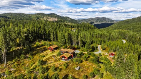 Bilde 2 av annonsen
