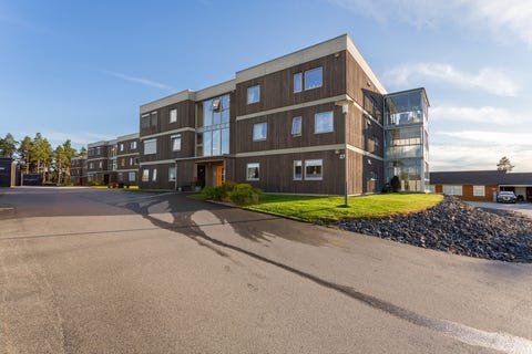 Bilde 1 av annonsen
