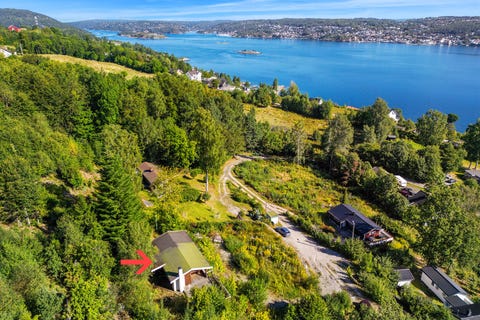 Bilde 1 av annonsen