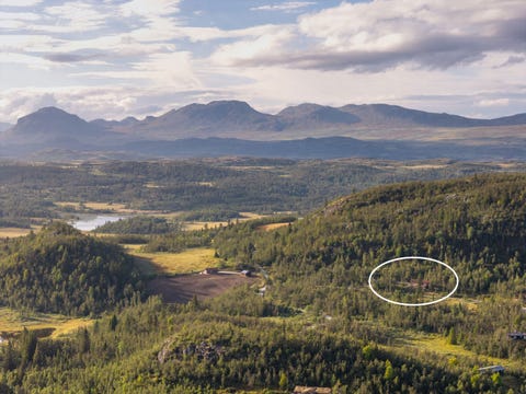 Bilde 2 av annonsen