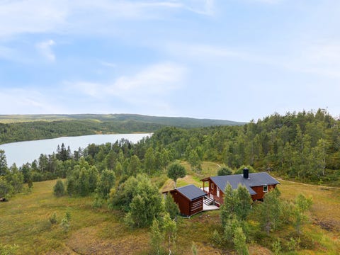 Bilde 2 av annonsen