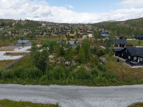 Bilde 1 av annonsen