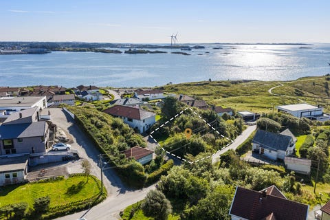 Bilde 1 av annonsen