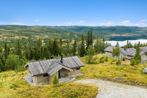 Bilde 1 av annonsen