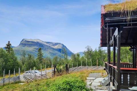 Bilde 2 av annonsen