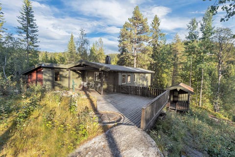 Bilde 1 av annonsen