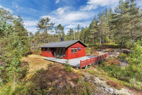 Bilde 1 av annonsen