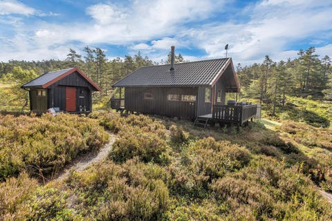 Bilde 1 av annonsen