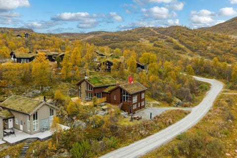 Bilde 1 av annonsen
