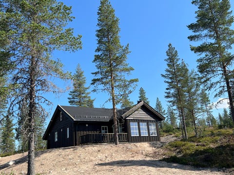 Bilde 1 av annonsen