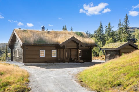 Bilde 2 av annonsen
