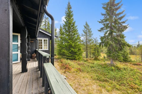 Bilde 2 av annonsen