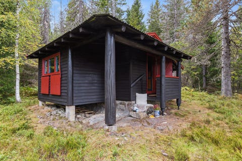 Bilde 1 av annonsen