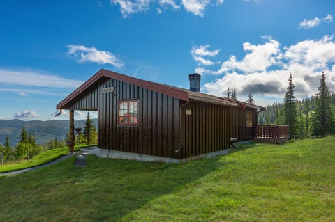 Bilde 2 av annonsen