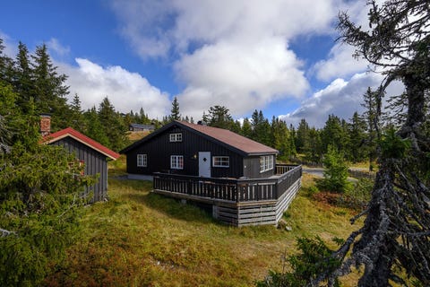 Bilde 1 av annonsen