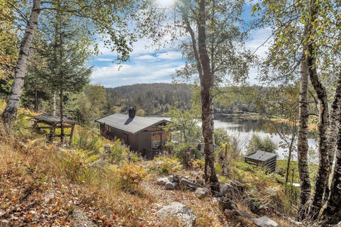 Bilde 1 av annonsen