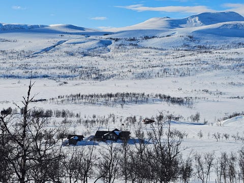 Bilde 2 av annonsen