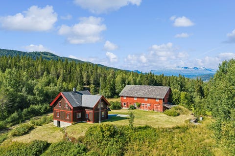 Steinsvegen 53