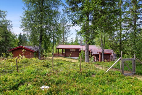 Bilde 1 av annonsen