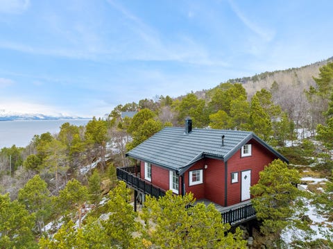 Bilde 1 av annonsen