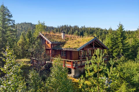Bilde 1 av annonsen