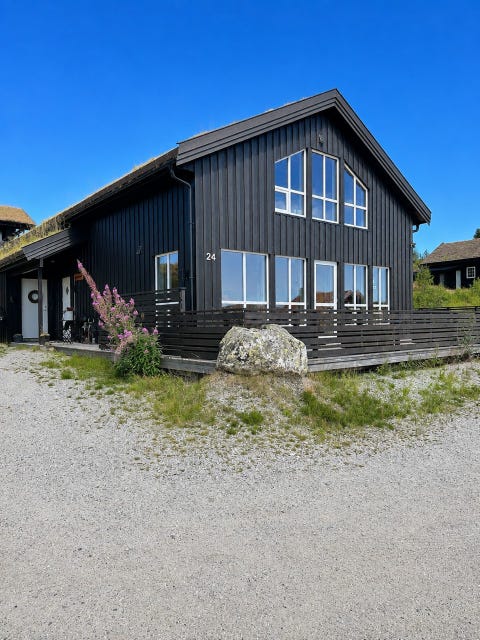 Bilde 1 av annonsen