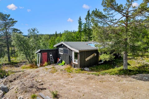 Bilde 1 av annonsen