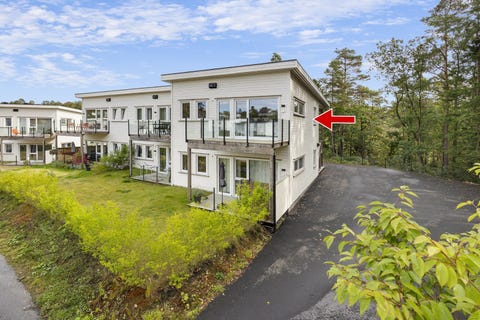 Bilde 1 av annonsen