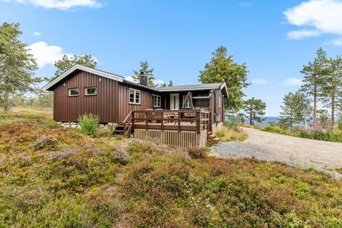 Bilde 1 av annonsen