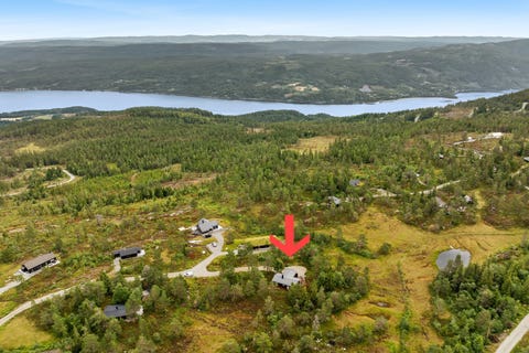 Bilde 2 av annonsen