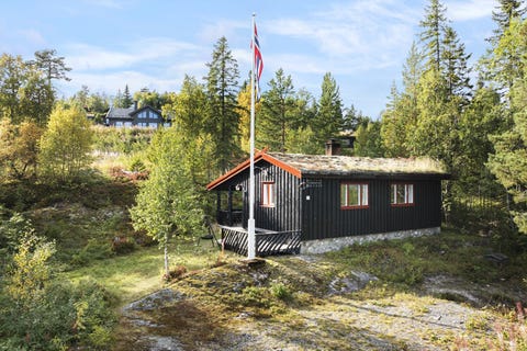 Bilde 2 av annonsen