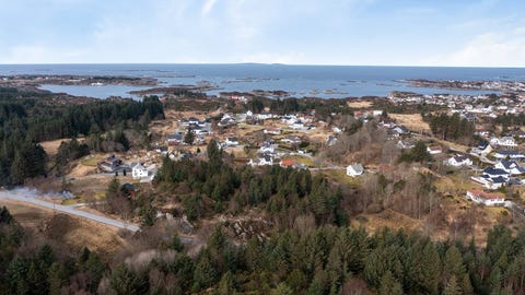 Bilde 2 av annonsen