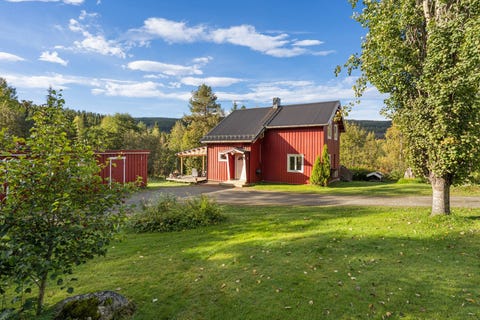 Bilde 1 av annonsen