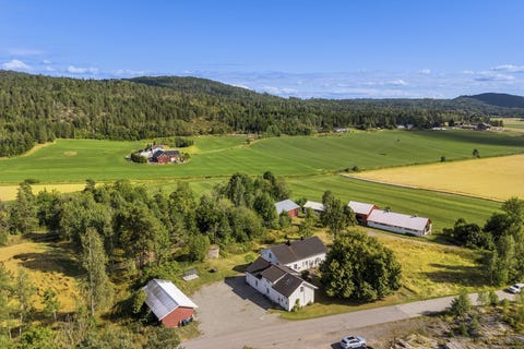 Bilde 1 av annonsen