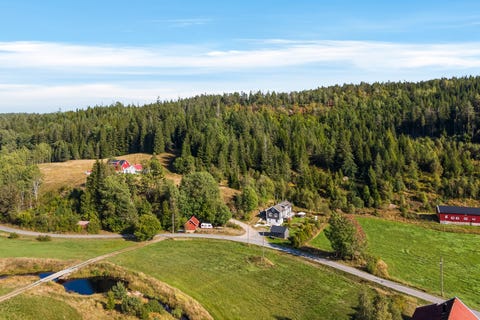 Bilde 2 av annonsen