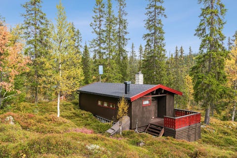 Bilde 1 av annonsen