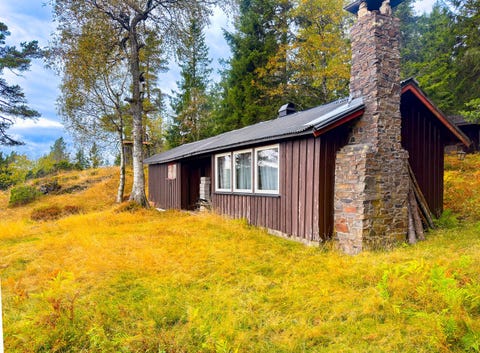 Bilde 2 av annonsen