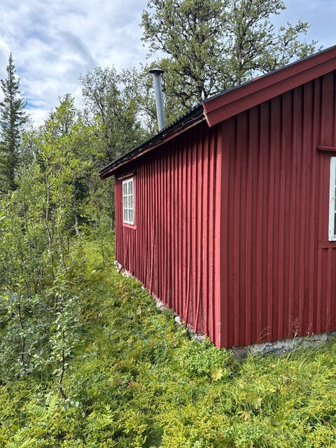 Bilde 1 av annonsen