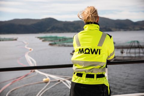 Mowi-logo