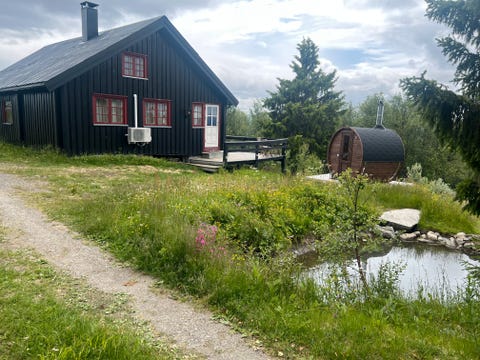 Bilde 1 av annonsen