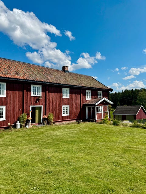 Bilde 1 av annonsen