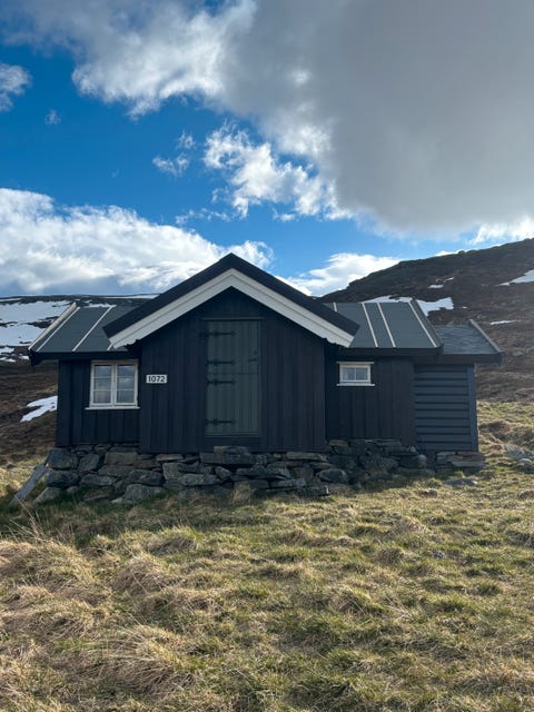 Bilde 2 av annonsen