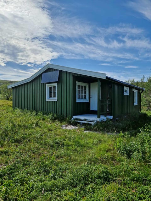 Bilde 1 av annonsen